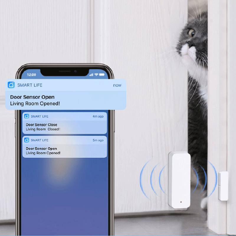Tuya WiFi Zigbee Door Window S - огляд і ціна Smart Home Tablet